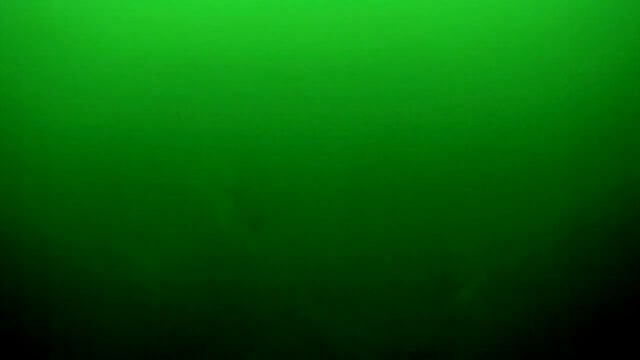 More Gulp Garlic Marinade "Testing" смотреть онлайн