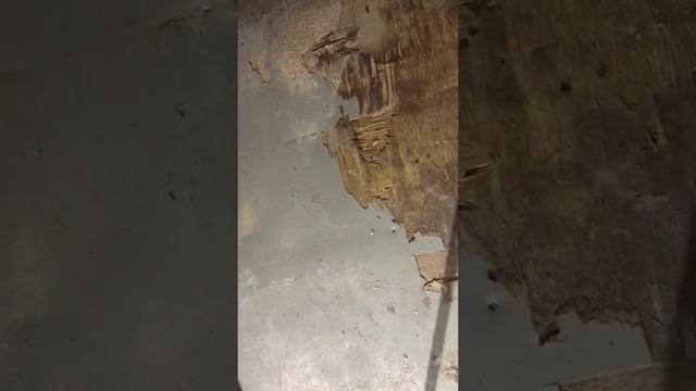 Ремонт пола рефрижератора Шмитц(1видео)