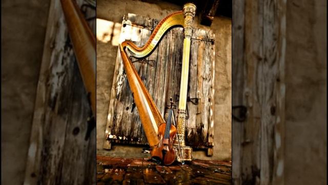 One Republic - Counting Stars - Harp & Violin Cover