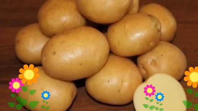 Картофель семенной Колобок (Колобок). Краткий обзор, описание характеристик, где купить картофель смотреть онлайн