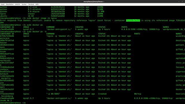 Docker Tutorial #14 - Container stoppen, Löschen von Images und Containern смотреть онлайн