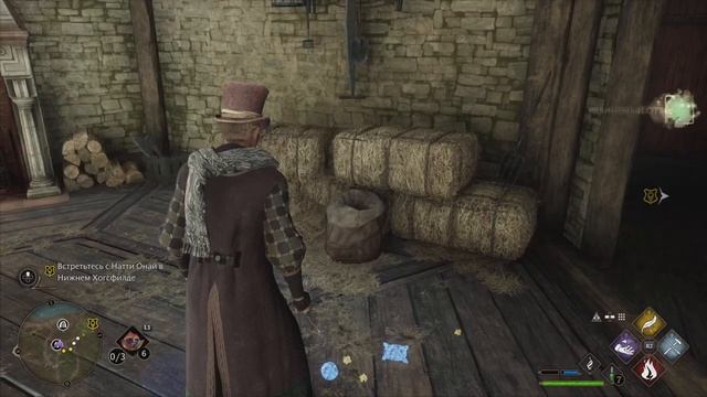Видеопрохождение Hogwarts legacy. Часть 13. Азы зельеварения, Натти Онай, Чёрное озеро смотреть онлайн