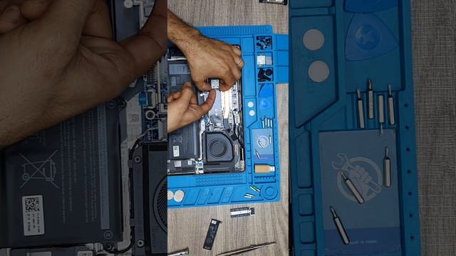 dell 7430 i7 12th Upgrade SSD? RAM? смотреть онлайн
