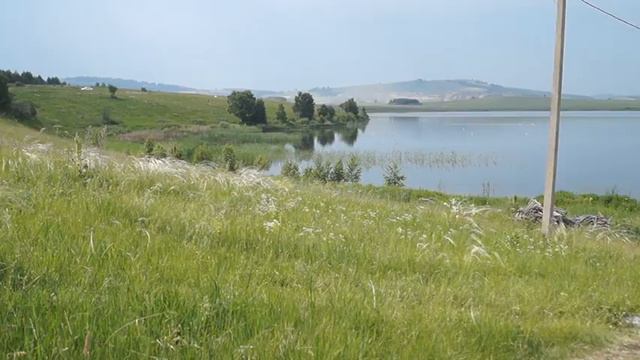 799   ОЗЕРО ГНИЛОЕ