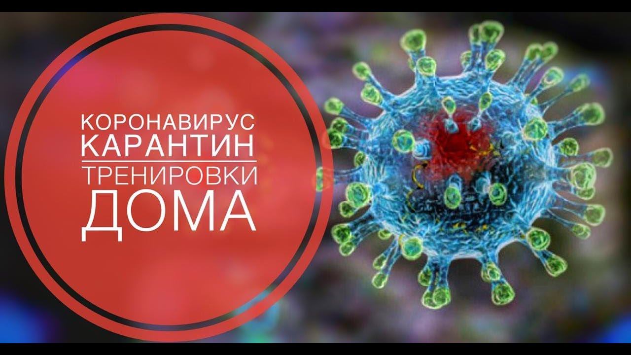 Коронавирус  | Карантин | Поднимаем здоровье дома | Сочи