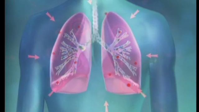 ambrobene.mpg смотреть онлайн