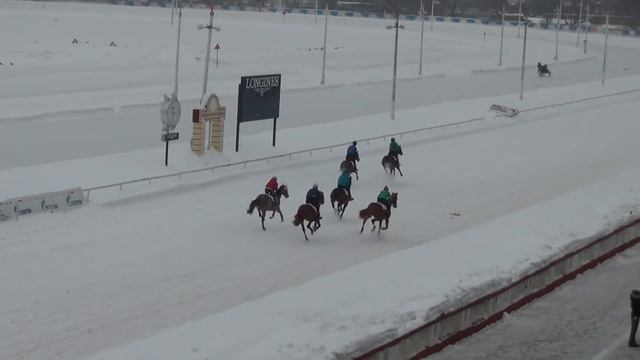 Московский ипподром. Бега. 18.02.18. Все финиши дня. смотреть онлайн