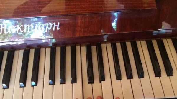 К Элизе правая рука