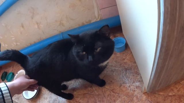 Топлю баню что то приготовил
