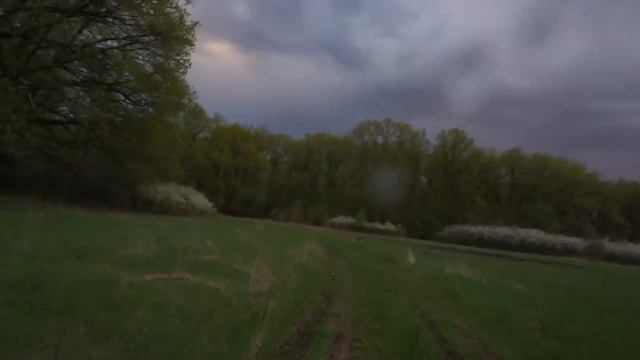 Вечерний выход на кабана смотреть онлайн