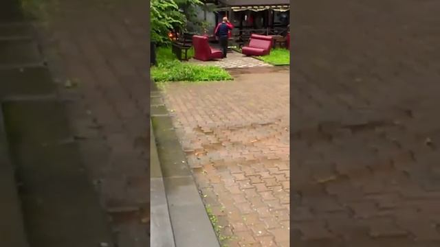 Пожар в центральном парке смотреть онлайн