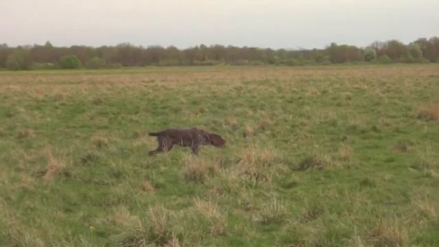 Работа по дупелю 1 смотреть онлайн