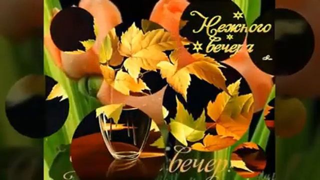 100000227-SP  Нежного Уютного вечера (0.31)