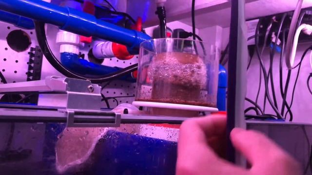 DIY Skimmer Neck Cleaner смотреть онлайн