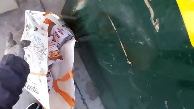 *Dumpster Diving - Can't believe I just witnessed this! All free Haul! смотреть онлайн