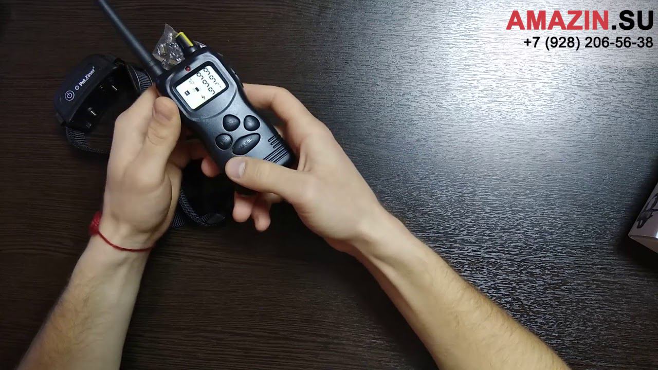 Полный обзор электронного ошейника PET900DB Multy-Dog | Amazin.su смотреть онлайн