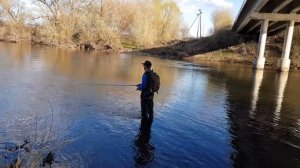 Весенняя рыбалка по жереху в Орловской области!!