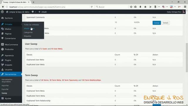 Limpiar La Base De Datos De WordPress