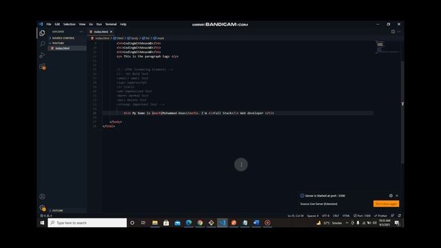 Html Formating Elements || Install Plugin For Vscode || Web Development Lecture #2 смотреть онлайн