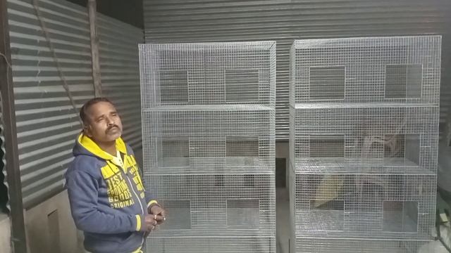 Budgies and Java birds perfect Cage Size and price ?️?️//#Galiff смотреть онлайн