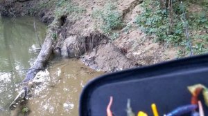 Ловля голавля в малой горной реке Краснодарского края. Рыбалка в Сочи.