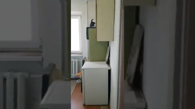 Продам 1-комнатную в кирпичном доме, окна во двор, 3/5 эт., пер.Среднефонтанский / проспект Гагарин смотреть онлайн