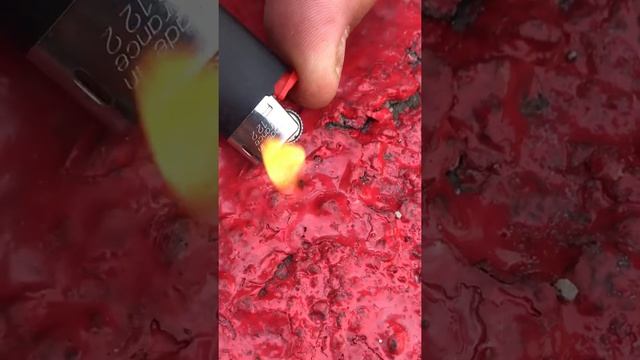 Клещ, маленький поганец) смотреть онлайн