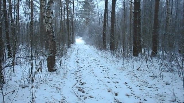 С БЕРКУТОМ 5 СНОВО УДАЧНО смотреть онлайн