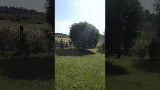 Усадьба Орехово в Псковской области смотреть онлайн