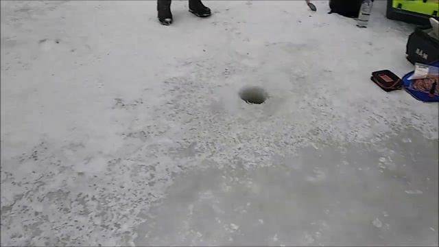 Обзор с верхнего пруда. Клёвое место Лосиный остров. смотреть онлайн