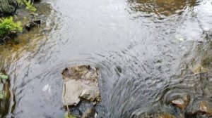 из Тюмени в Боровое Казахстан