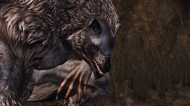 Dragon Age Origins Remastered - Episode 33 - story playthrough - (1440p, no commentary) смотреть онлайн