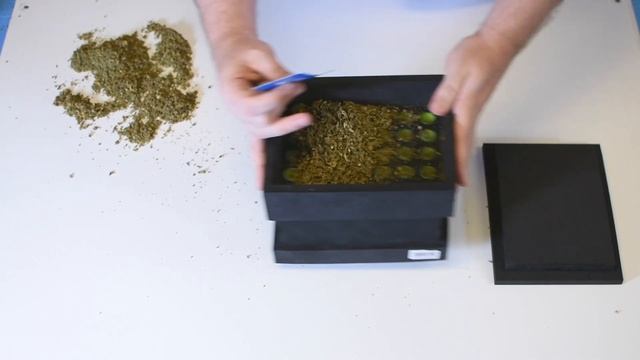 Buddies Bump Box Review: How to roll cones with the 109mm King Size Buddies Bump Box смотреть онлайн