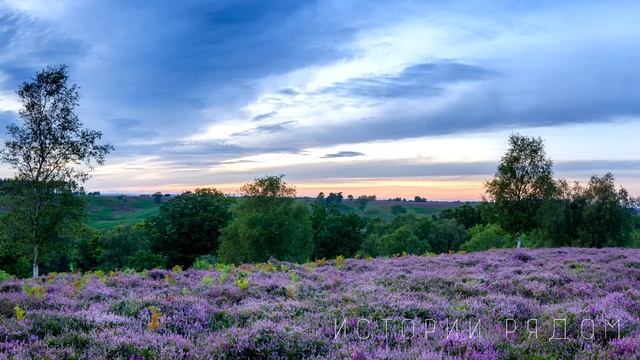 «Откуда у тебя это?» Виктор замер, увидев бродяжку, а едва проследив за ним…