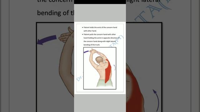 Stretching-9 смотреть онлайн