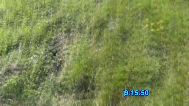 Рыбалка как отдых, отчёт о рыбалке в мае на озерце смотреть онлайн