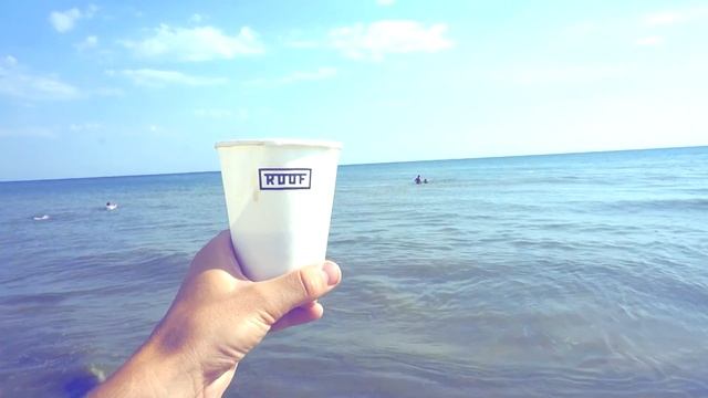 VLOG : ОРЛЫ НА ЧЕРНОМ МОРЕ, УТИНЫЕ ИСТОРИИ. смотреть онлайн