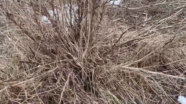 Рыбу некуда девать! Кормим РЫЖЕГО МОНСТРА 🙀 смотреть онлайн