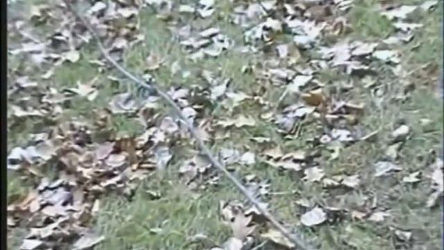 I feel fantastic FUL VERSION смотреть онлайн