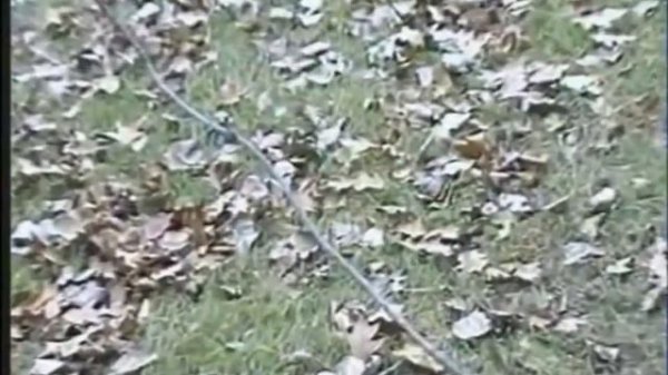 I feel fantastic FUL VERSION