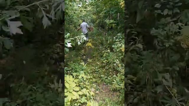 дикие утки на даче смотреть онлайн