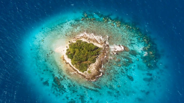 BBC Голубая планета 1 сезон 1 серия смотреть онлайн