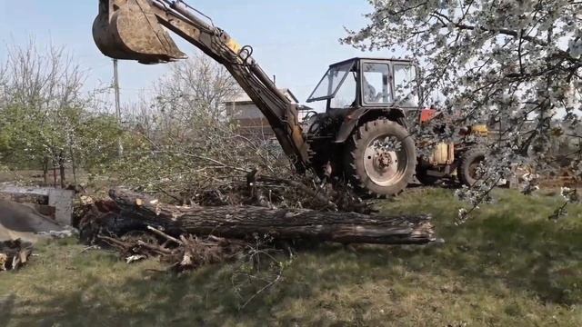 Расчистка дачного участка трактором. Корчуем пни, планировка. Апрель 2020. смотреть онлайн