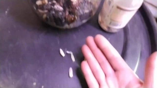 20231222 СПАСЕНИЕ ПЛАНЕТЫ ЗЕМЛЯ от голода, холода и пластика смотреть онлайн