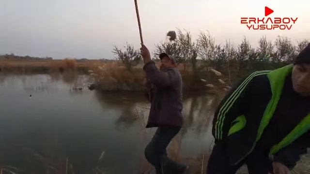 рыбалка Амударья смотреть онлайн