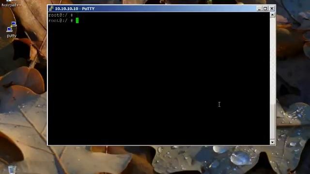Как настроить сеть под FreeBSD? / Setting up the FreeBSD Network (DHCP) смотреть онлайн