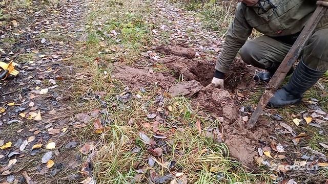 Последние деньки копа...Накопали всего 300 кг... #КопМеталлавлесу #копметаллавлесу #металлокоп смотреть онлайн