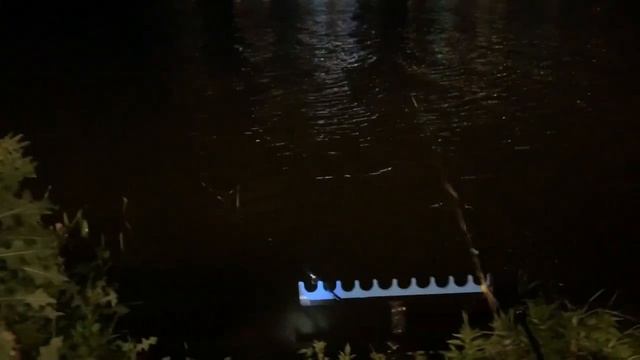 Огромный лещ на ёлку с пенопластом смотреть онлайн