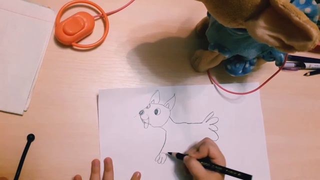 Как нарисовать собачку чихуахуа,Чичи ла,видео для детей смотреть онлайн