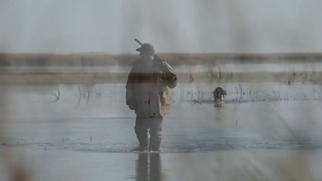 Охота с дратхааром на утку в Казахстане 2018г смотреть онлайн